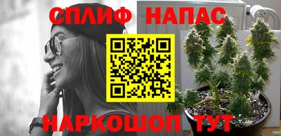 МДПВ Малгобек