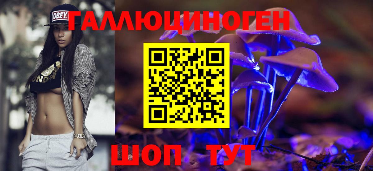 Галлюциногенные грибы Psilocybine cubensis  Вход с VPN  Горно-Алтайск 