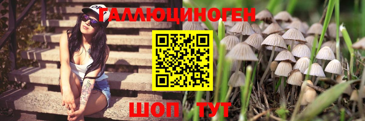 Галлюциногенные грибы GOLDEN TEACHER Горно-Алтайск